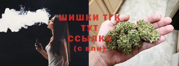 дмт Гусь-Хрустальный