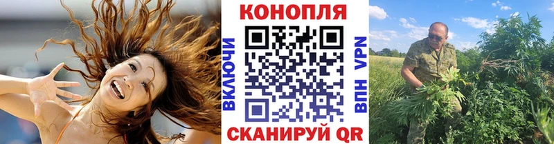 кракен tor  Городище  Конопля тримм  дарнет шоп 